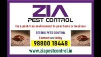 Top Bedbug pest Control service in | Bengaluru Bed Bug treatment | 5019